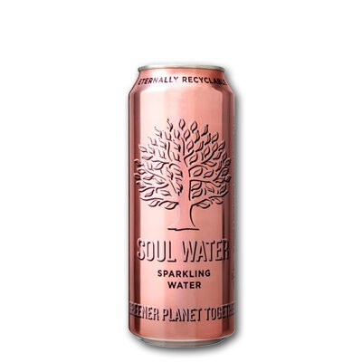 Soul Water sparkling 24st.*330ml.  